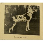 Mann Ignacy, Rasy psów: pochodzenie, wzorce, użytkowość [1939]