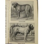 Seyfarth Arthur, Der Hund und seine Rassen: Anleitung zur Kenntnis der Hunderassen, der rationellen Zucht, Erziehung, Pflege, Dressur und Heilung der Krankheiten