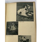Czapek Karol, Daszeńka or the life of a puppy for children written, illustrated, photographed and experienced on his own by Karol Czapek