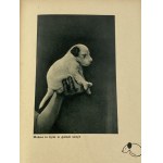 Czapek Karol, Daszeńka czyli żywot szczeniaka dla dzieci (Život štěněte pro děti) napsal, ilustroval, vyfotografoval a prožil Karol Czapek