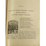 Dąbrowski Józef (Grabiec J.), Rok 1863 [1. vydání][kožená vazba].