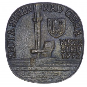 Medal, Dni Międzyrzecza 1972, sygnowany S. Murawski