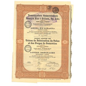 Towarzystwo Sosnowieckich Fabryk Rur i Żelaza, Sp. akc. Akcja zwyczajna pełnowpłacona, 1924