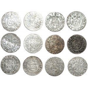 Sigismund III Vasa (1587-1632) - 12 pieces of Half-tracks 1616, 1620-1627