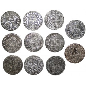 Sigismund III Vasa (1587-1632) - 11 pieces of Half-tracks 1620-1627