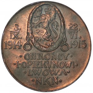 Taduesz Rutowski Medaille 1915 mit original Sammlerumschlag