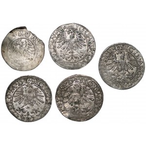 Zestaw 5 sztuk półgroszy 1501-1565