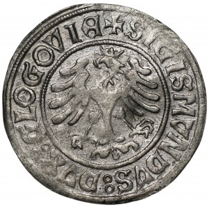 Zygmunt I Stary (1506-1548) - Grosz Głogów bez daty - rzadki