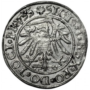 Sigismund I the Old (1506-1548) - Elblag 1534 penny - PRVSS