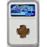 5 pennies 1934 - THE BEST ANNIVERSARY - NGC XF40 BN