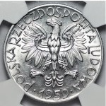 5 złotych 1959 Rybak - NGC MS62 - OBUSTRONNE SŁONECZKO - RZADKIE