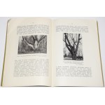 WRÓBLEWSKI Antoni - Conservation of old trees, 1938