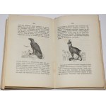 [RADZIKOWSKI] Walery Eljasz - Illustrowany przewodnik do Tatr, Pienin i Szczawnic, wyd.1, 1870, Karte