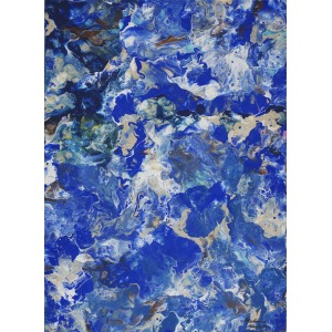 Paulina Ledzion, Ocean