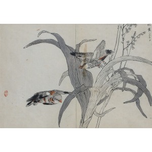 KŌNO BAIREI, AMADYNY, 1881