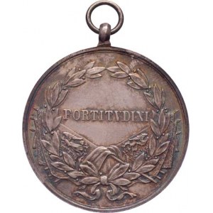 Rakousko - Uhersko, Karel I., 1916 - 1918, Velká stříbrná medaile za statečnost, Marko.234a,