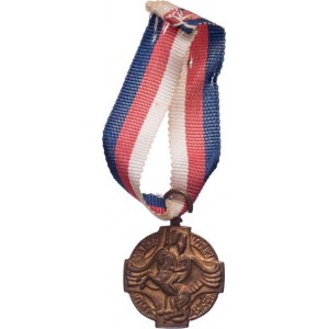 Československo, Čs.revol.medaile - závěsná miniatura 19 mm, Nesign.,
