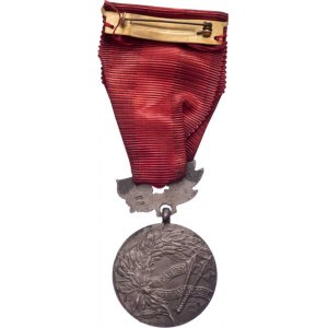 Československo, Medaile Za zásluhy o obranu vlasti ČSSR, VM.43-III,