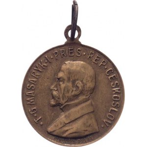 Československo, Pamětní medaile k 10.výročí republiky 1928, VM.117a,