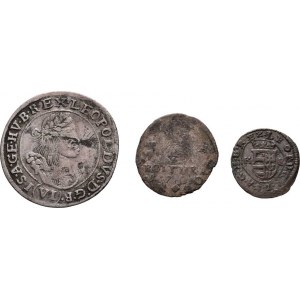 Leopold I., 1657 - 1705, VI Krejcar 1668 KB, Poltura 1700 NB, Denár 1684 KB,