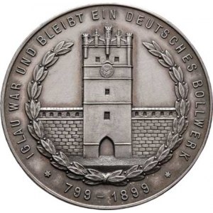 Jihlava, Schwerdtner - medaile na 1100 let města 1899 - žena