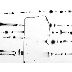 Robert VANECKE, Pseudologia Fantastica D 026, 2018