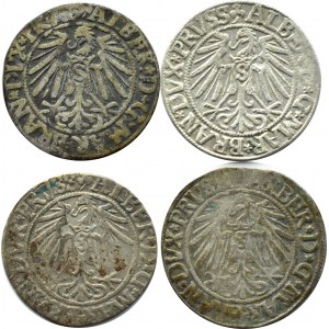 Prusy Książęce, Albrecht, lot groszy pruskich 1542-1545, Królewiec