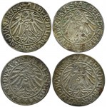 Prusy Książęce, Albrecht, lot groszy pruskich 1533-1543, Królewiec