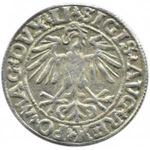 Zygmunt II August, półgrosz 1550, Wilno, LITVA/LI, większa pogoń