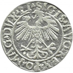 Zygmunt II August, półgrosz 1558, Wilno, LITVA/LI