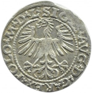 Zygmunt II August, półgrosz 1563, Wilno, mała Pogoń - LITVA/L