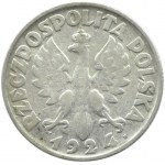 Polska, II RP, Kłosy, 2 złote 1924 H, Birmingham, rzadkie