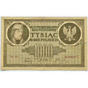 Polska, II RP, 1000 marek 1919, seria AD, Warszawa