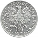 Polska, PRL, Rybak, 5 złotych 1959, Warszawa, dwa słoneczka