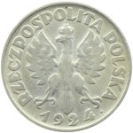 Polska, II RP, Kłosy, 2 złote 1924 H, Birmingham, rzadkie