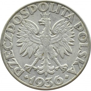 Polska, II RP, Żaglówka, 5 złotych 1936, Warszawa (21)