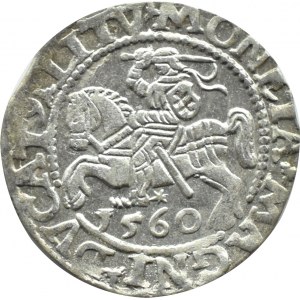 Zygmunt II August, półgrosz 1560, Wilno LITV/L - CIEKAWOSTKA
