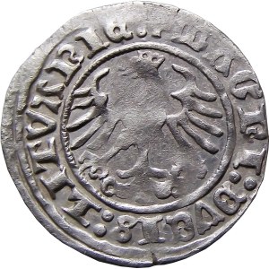 Zygmunt I Stary, półgrosz 1511, Wilno, BARDZO ŁADNY