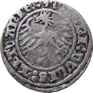 Zygmunt I Stary, półgrosz 1514, Wilno, CIEKAWY