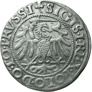 Zygmunt I Stary, grosz miejski 1540, Elbląg, PIĘKNY