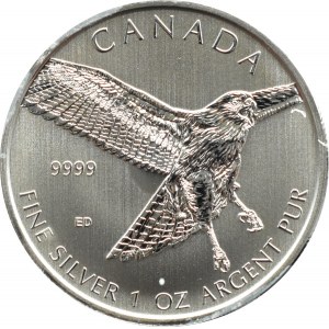 Kanada, Myszołów rdzawosterny, 5 dolarów 2015, Ottawa, UNC