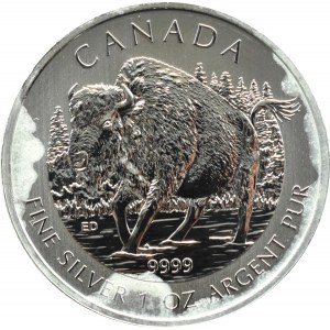 Kanada, Bizon, 5 dolarów 2013, Ottawa, UNC