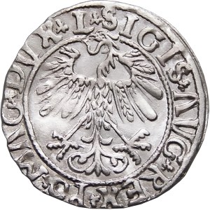 Zygmunt II August, półgrosz 1558, Wilno, PIĘKNY
