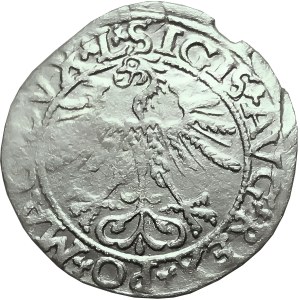 Zygmunt II August, półgrosz 1561, Wilno,