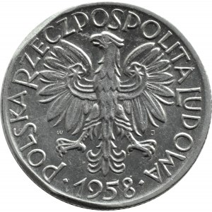 Polska, PRL, Rybak, 5 złotych 1958, Warszawa, wąska ósemka, dwa słoneczka