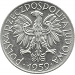 Polska, PRL, Rybak, 5 złotych 1959, Warszawa, wąska ósemka, dwa słoneczka