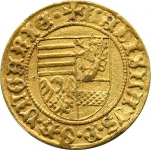 Węgry, Władysław V Pogrobowiec (1444-1457), goldgulden bez daty (1455), Nagybanya - RZADKI
