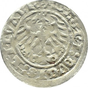 Zygmunt I Stary, półgrosz 1513, Wilno, skrócona data, PIĘKNY