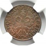 Polska, II RP, 5 groszy 1931, Warszawa, NGC MS64 BN