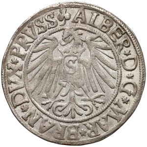 Albrecht Hohenzollern, Grosz Królewiec 1541